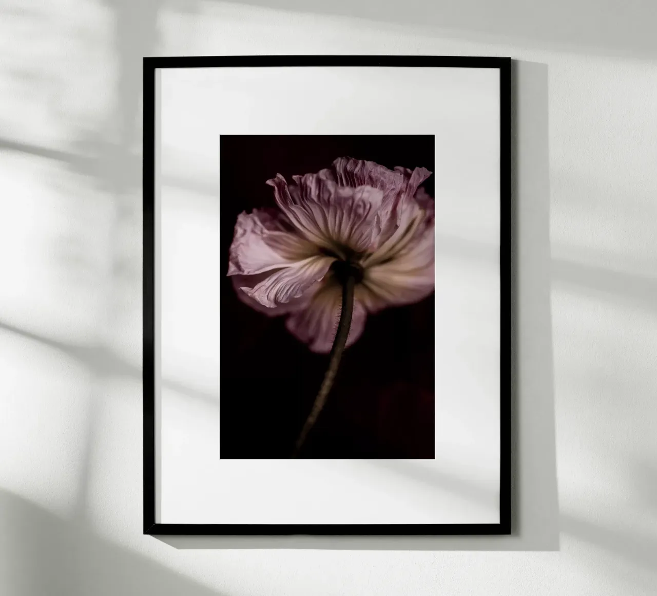 Poppy 2 carta hahnemühle da Mareike Böhmer Photography