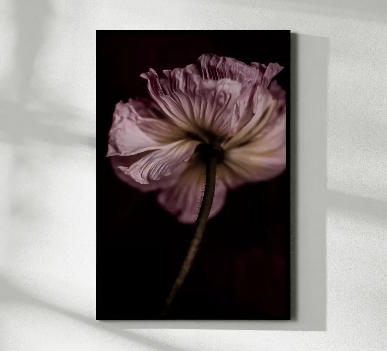 Poppy 2 carta hahnemühle da Mareike Böhmer Photography