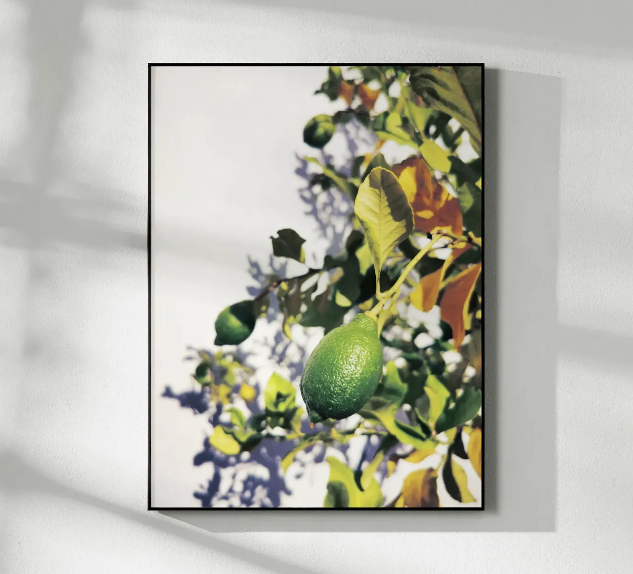 Green Lemons plexiglass da Angelo Cerantola