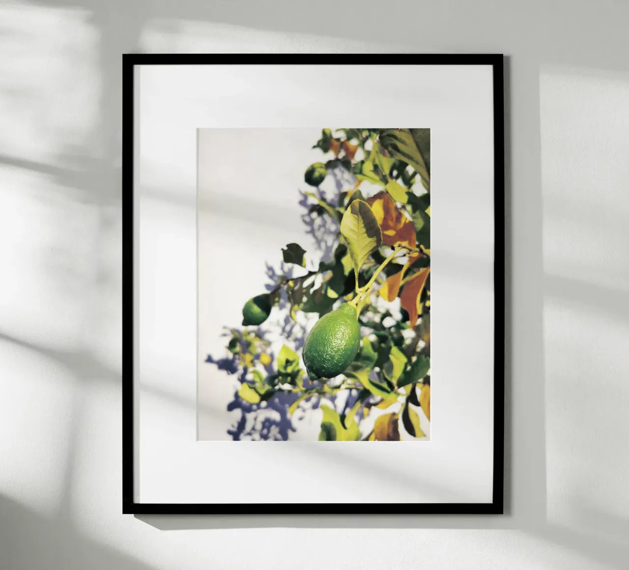 Green Lemons poster da Angelo Cerantola