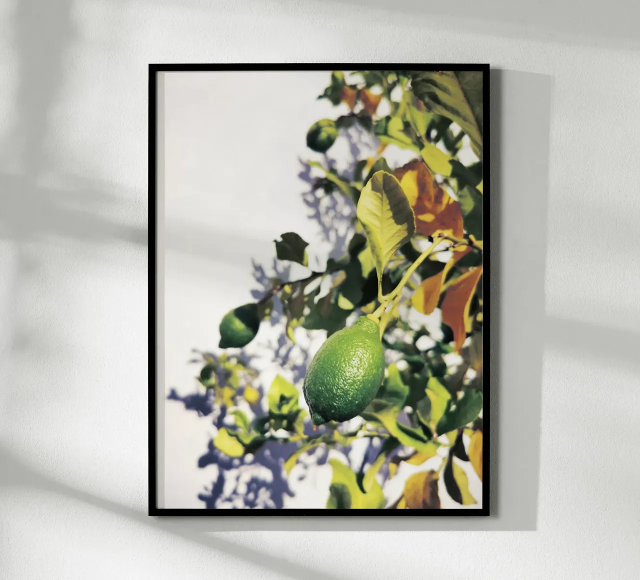 Green Lemons poster da Angelo Cerantola