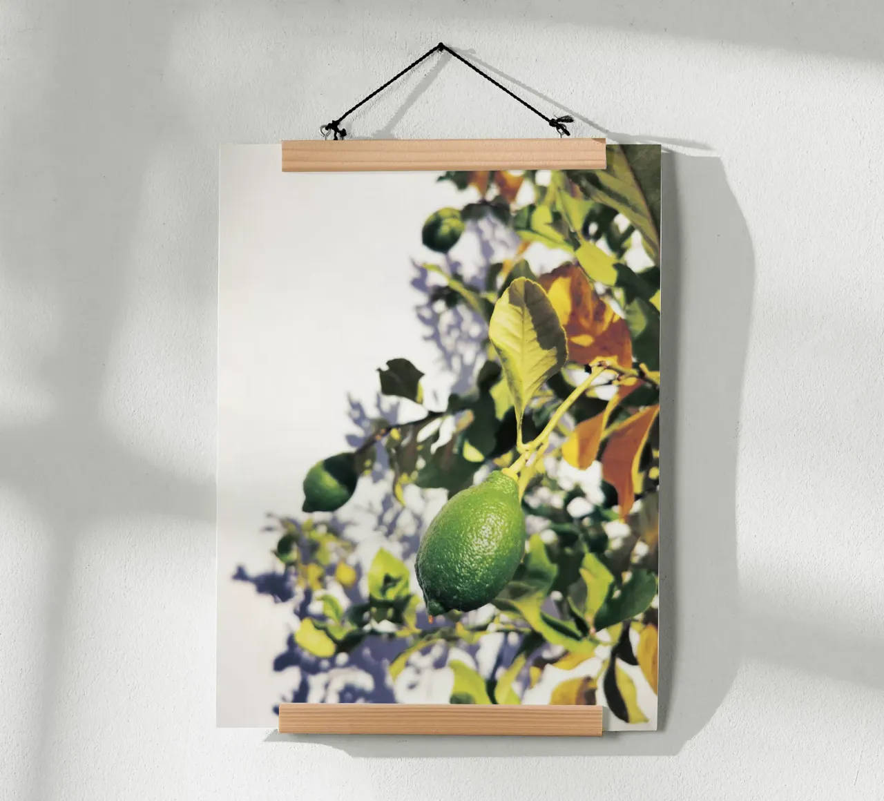 Green Lemons poster da Angelo Cerantola