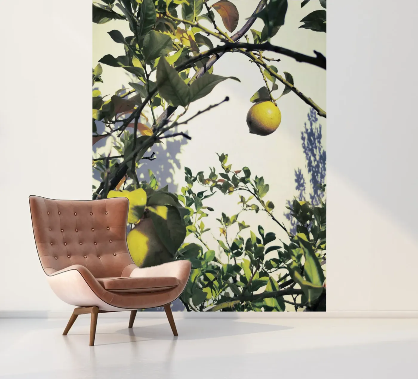 Lemons fotobehang van Angelo Cerantola