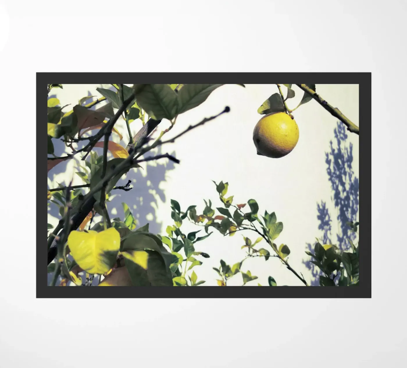 Lemons deurmat van Angelo Cerantola