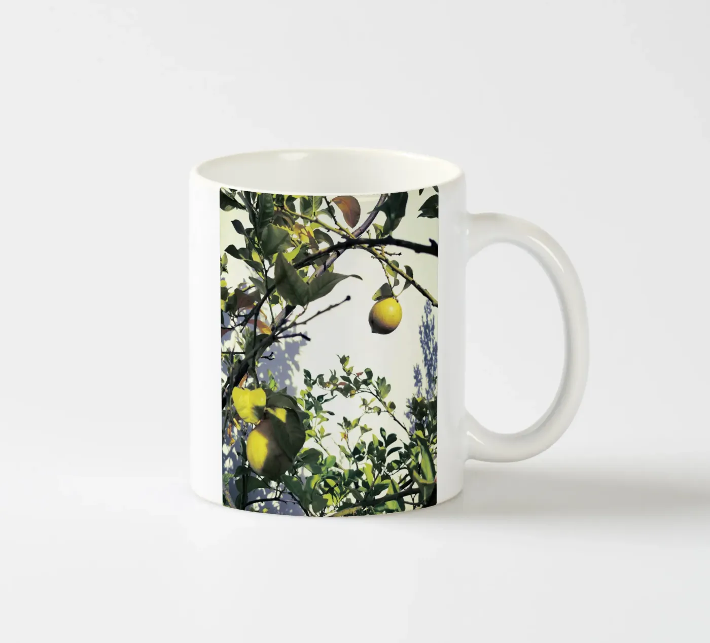 Lemons ceramic mug by Angelo Cerantola