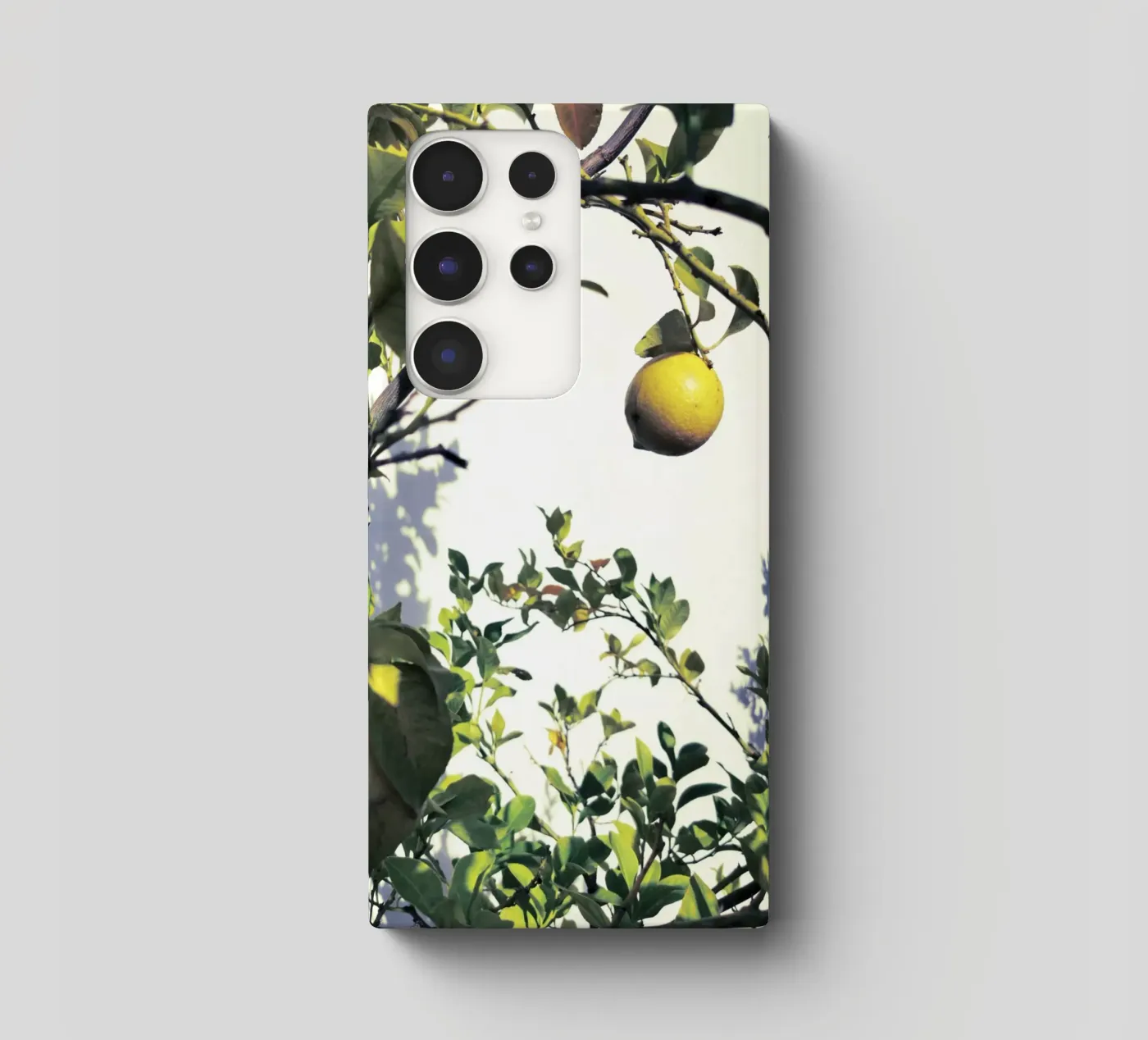 Lemons cover samsung da Angelo Cerantola
