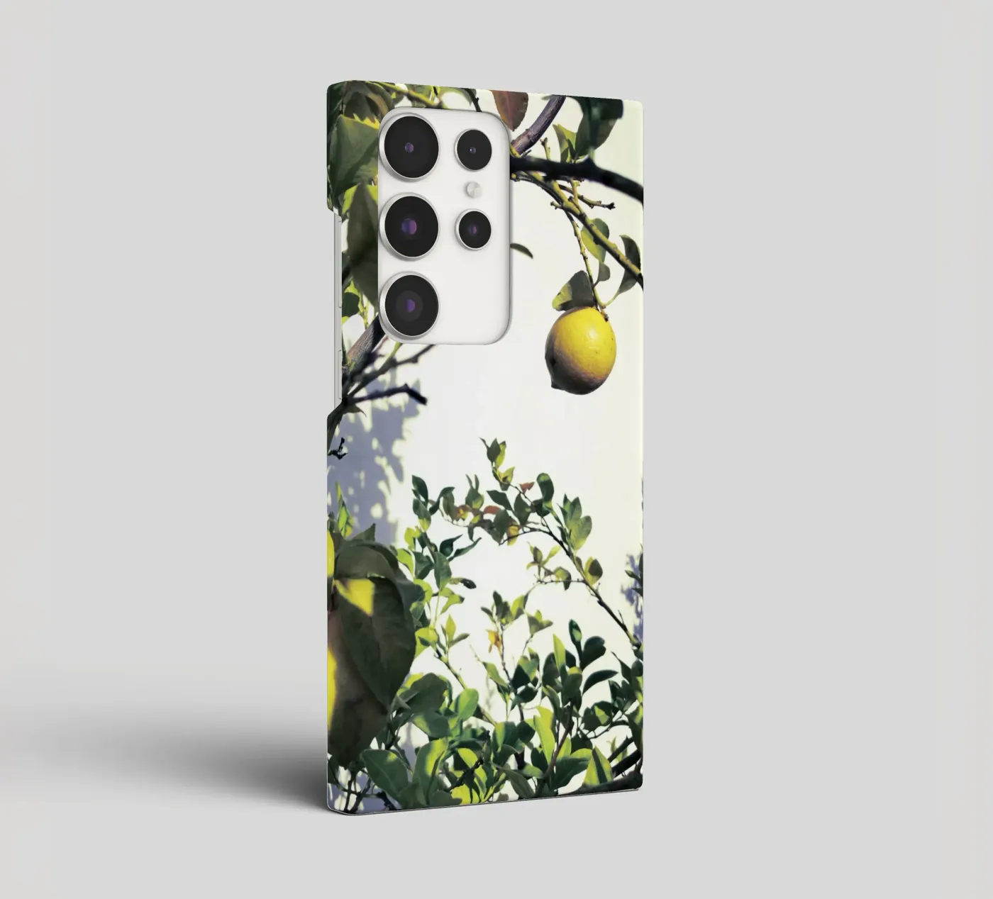 Lemons cover samsung da Angelo Cerantola