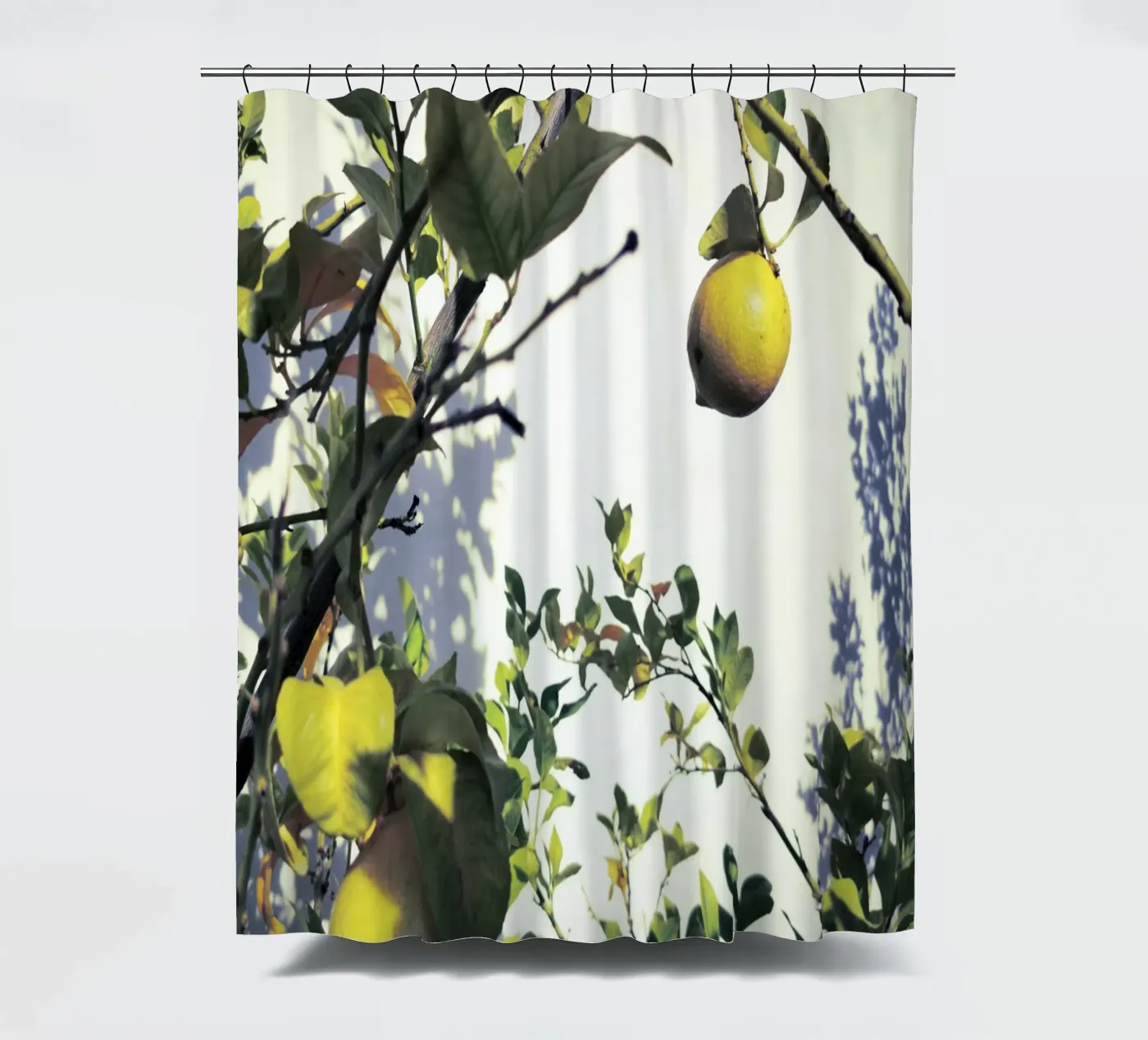 Lemons Duschvorhang von Angelo Cerantola