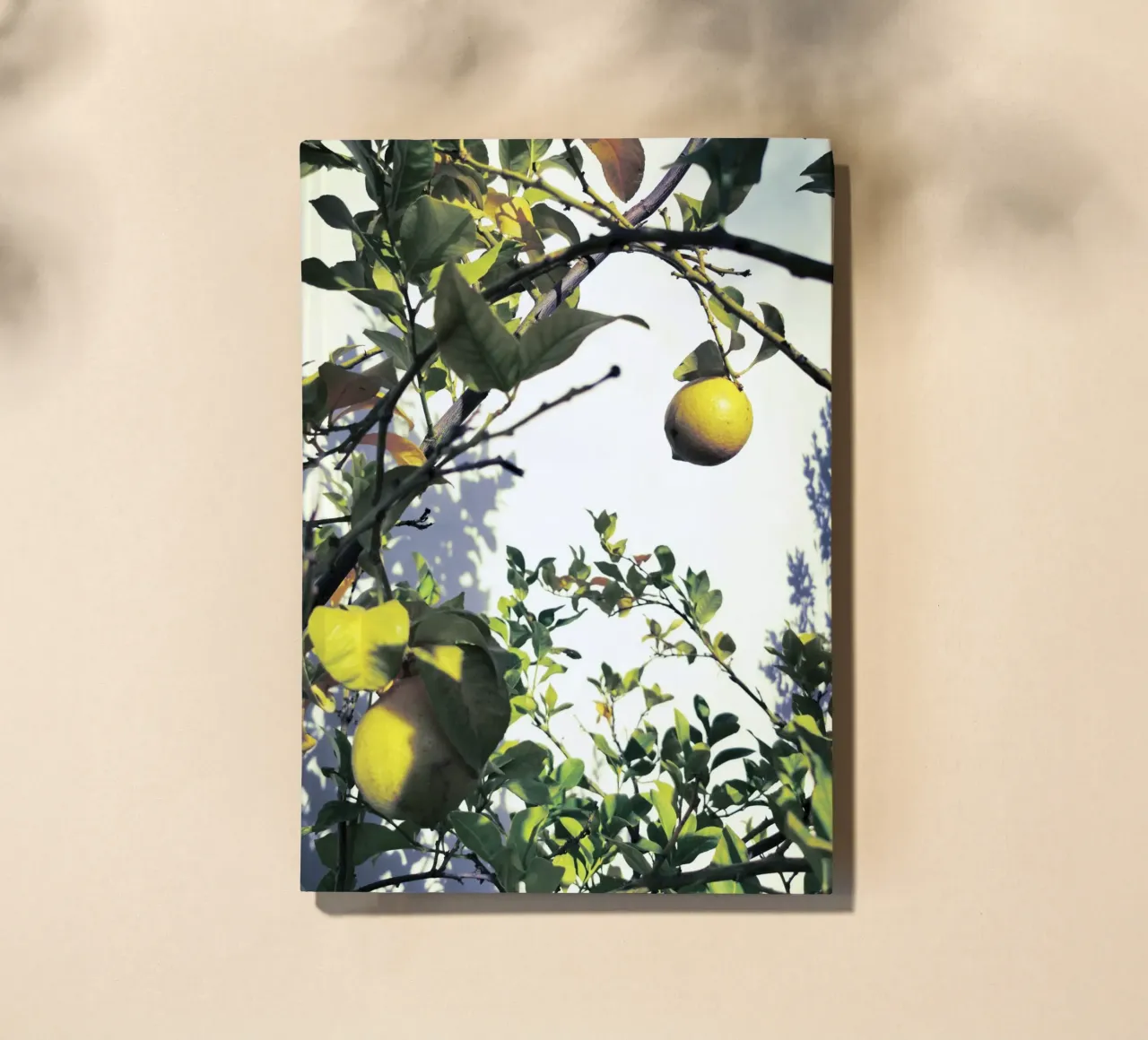 Lemons notebook by Angelo Cerantola