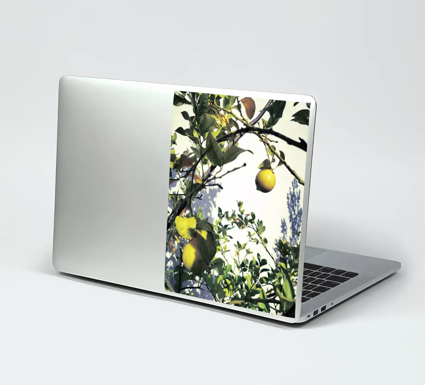 Lemons Sticker von Angelo Cerantola