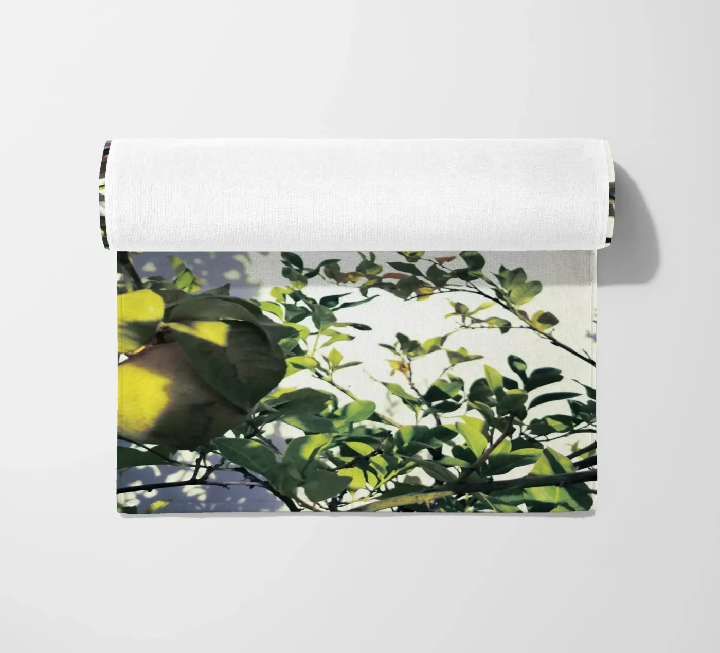 Lemons beach towel by Angelo Cerantola