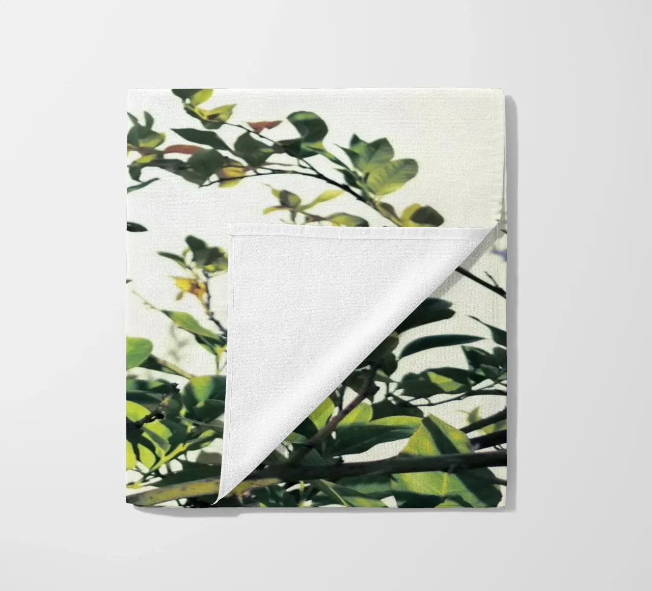 Lemons telo mare da Angelo Cerantola