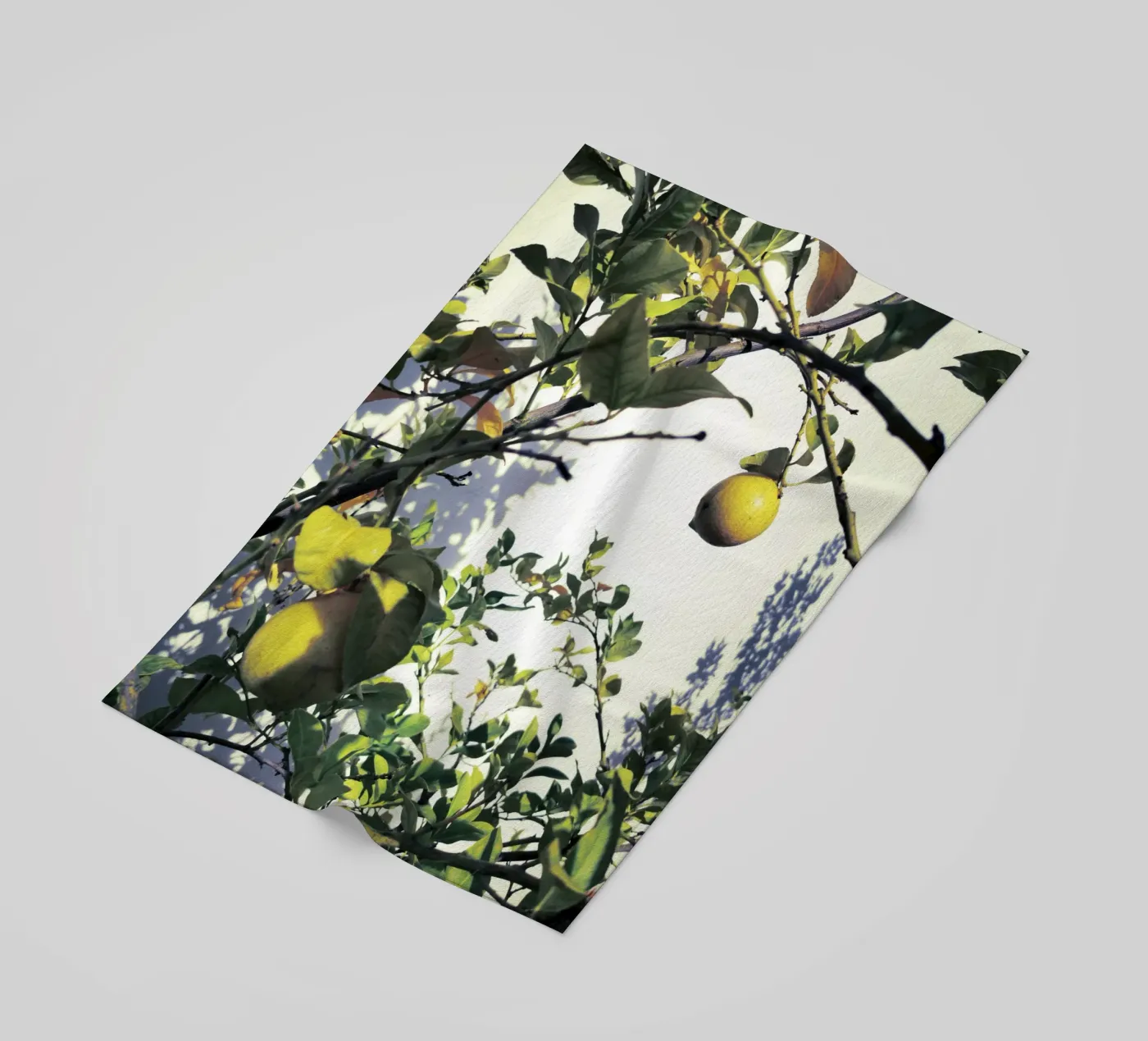 Lemons beach towel by Angelo Cerantola