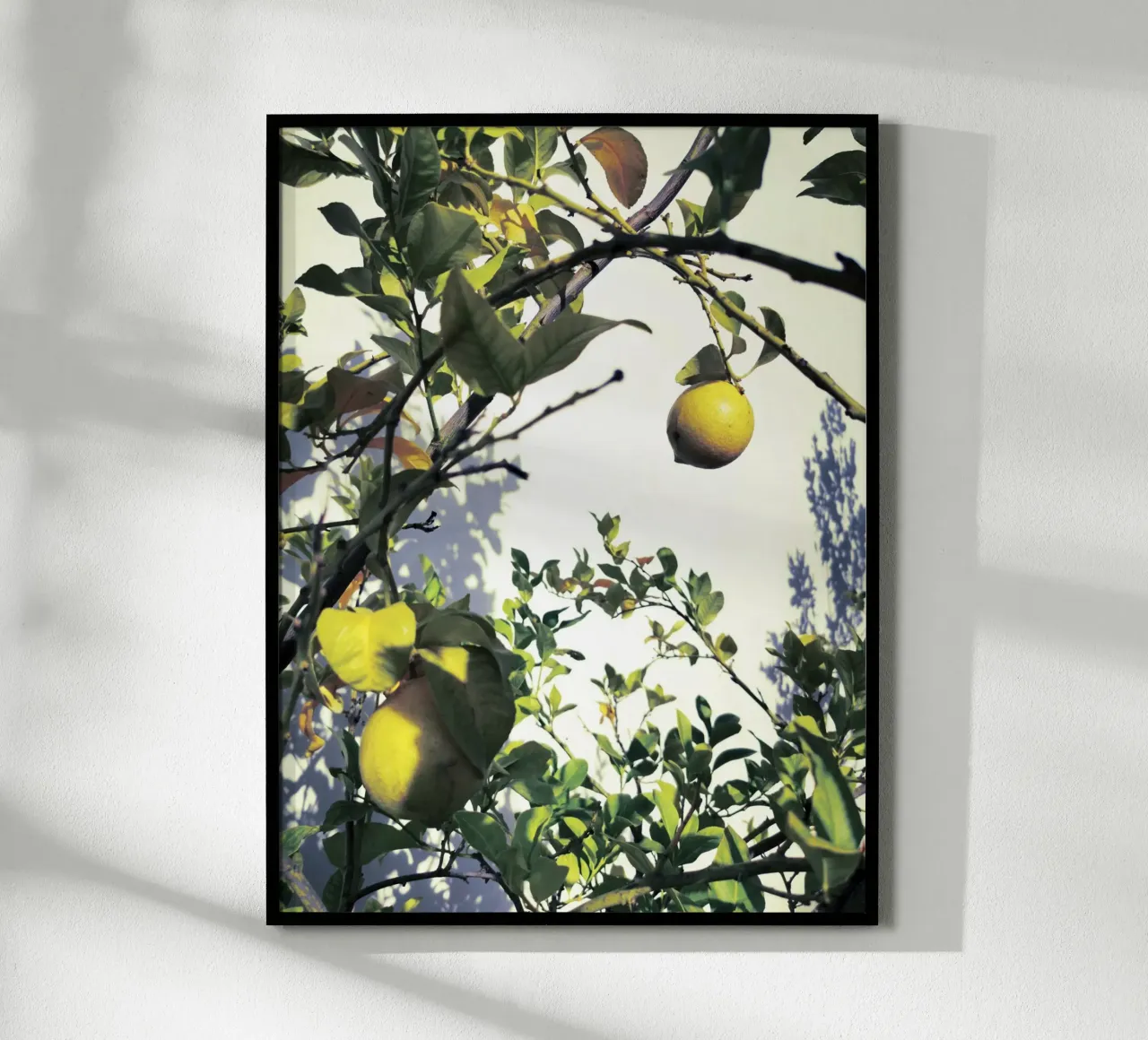 Lemons poster con telaio in plastica da Angelo Cerantola