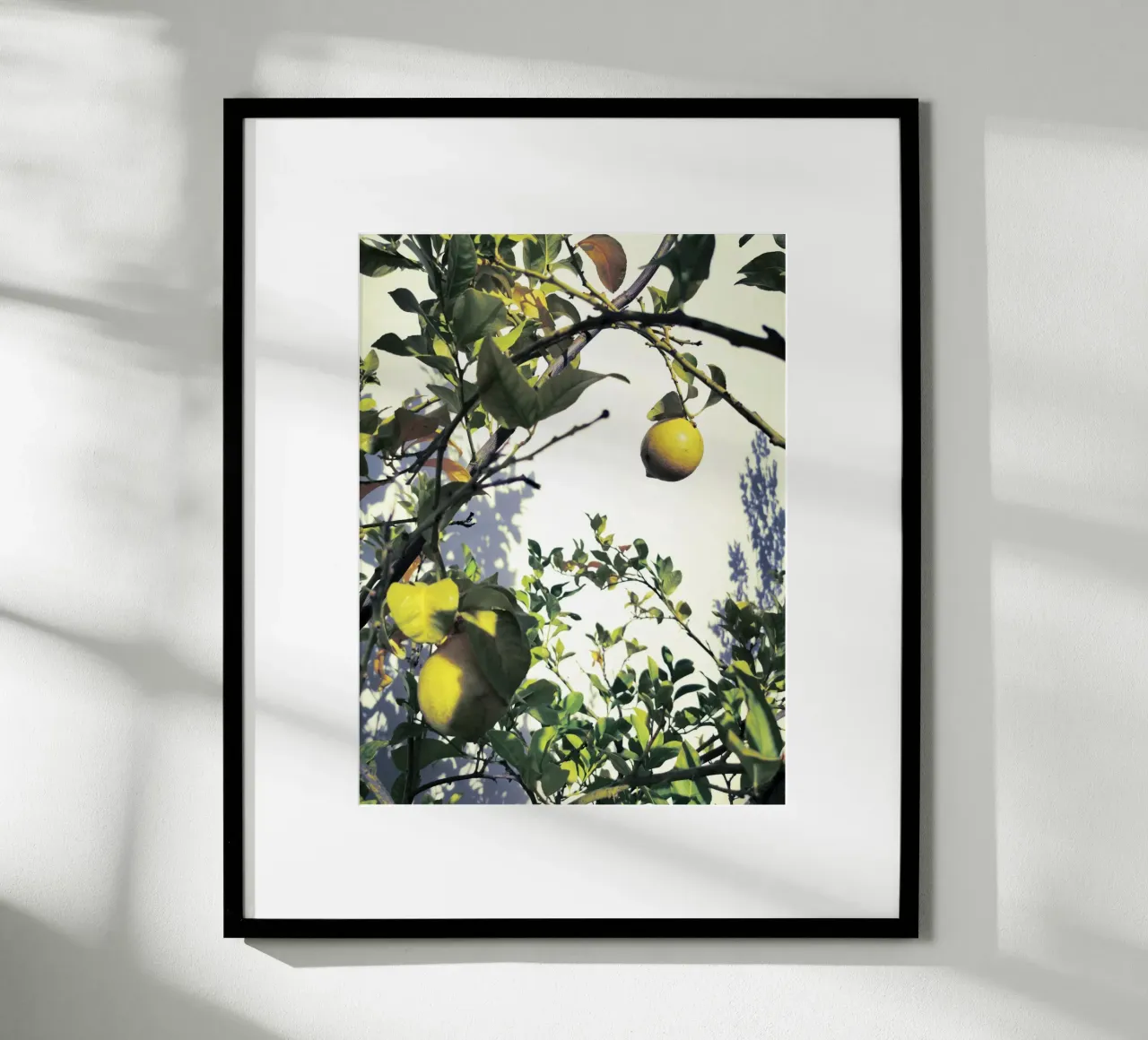 Lemons poster con telaio in plastica da Angelo Cerantola