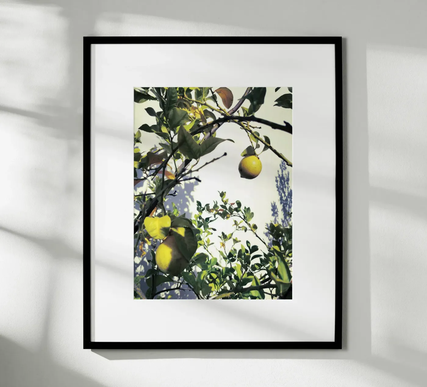 Lemons poster da Angelo Cerantola