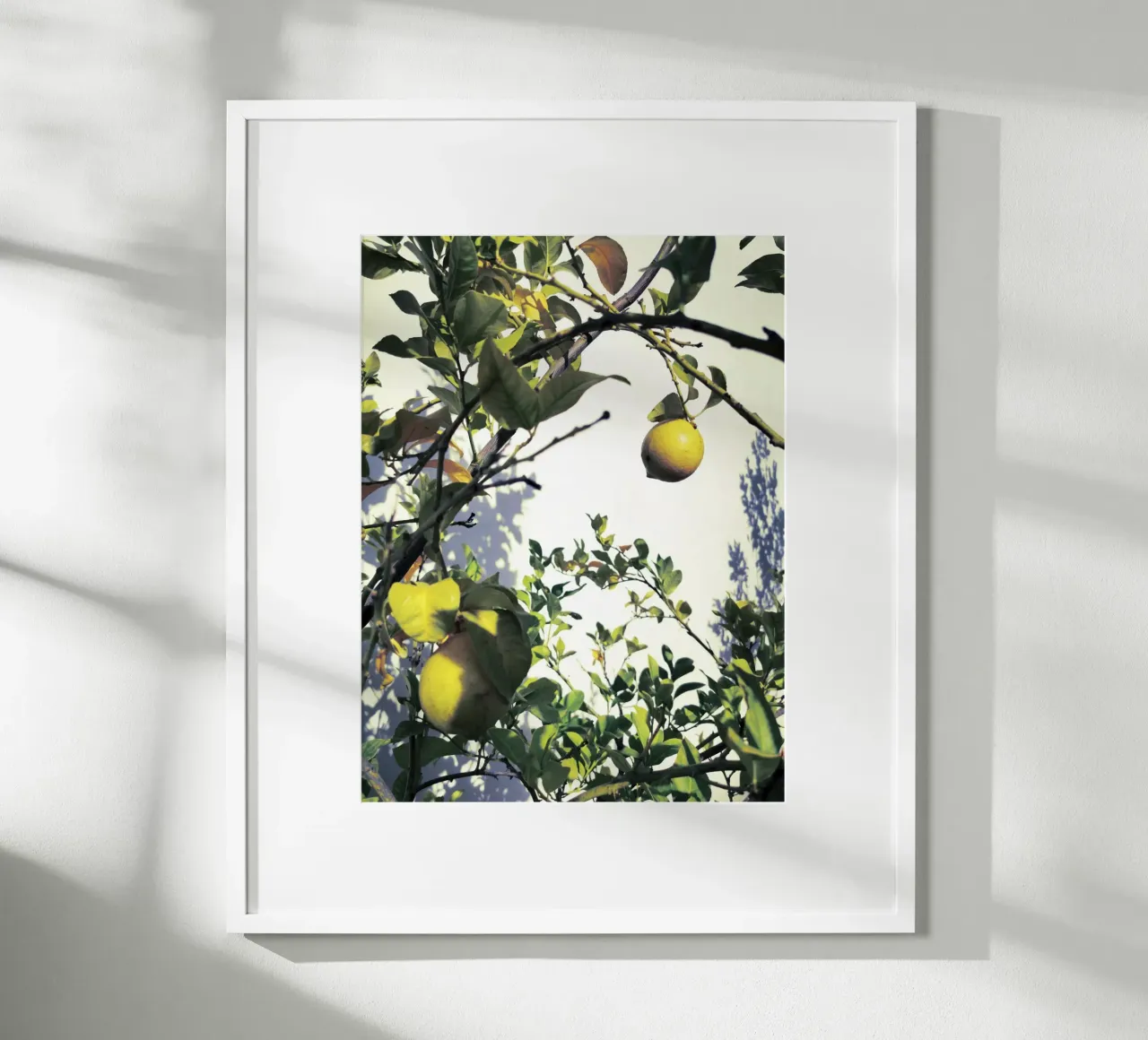 Lemons poster con telaio in plastica da Angelo Cerantola
