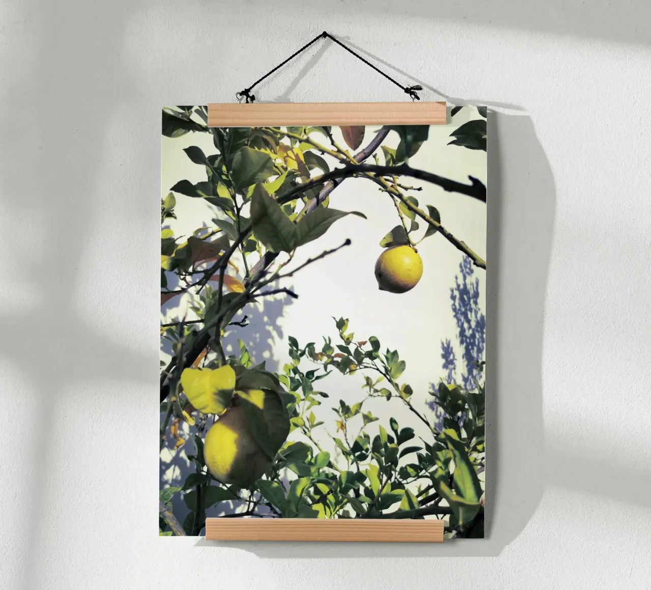 Lemons poster con telaio in plastica da Angelo Cerantola