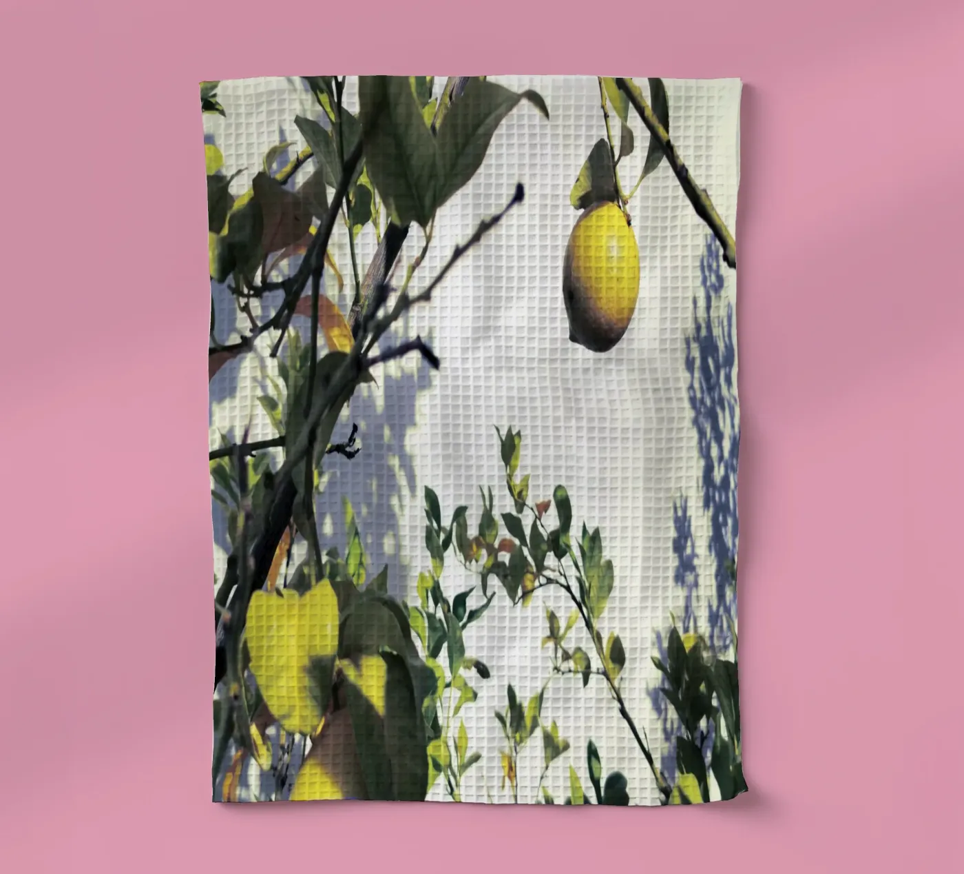 Lemons tea towel by Angelo Cerantola