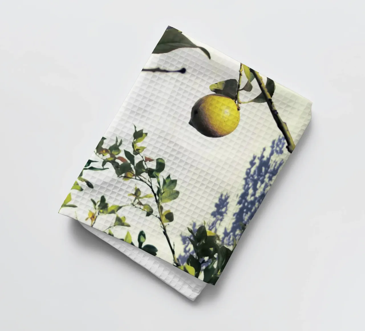 Lemons torchon de Angelo Cerantola