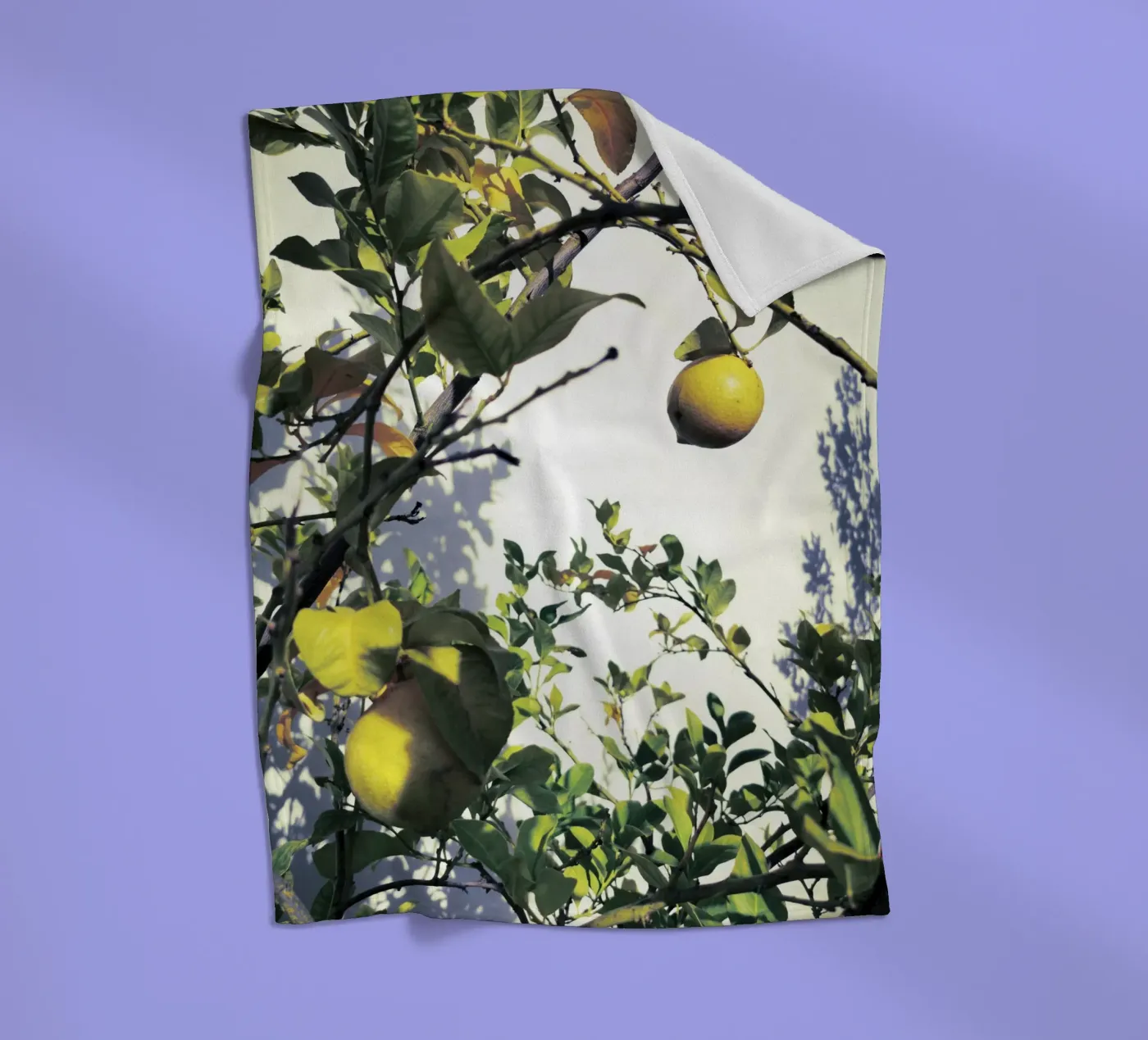 Lemons Fleecedecke von Angelo Cerantola