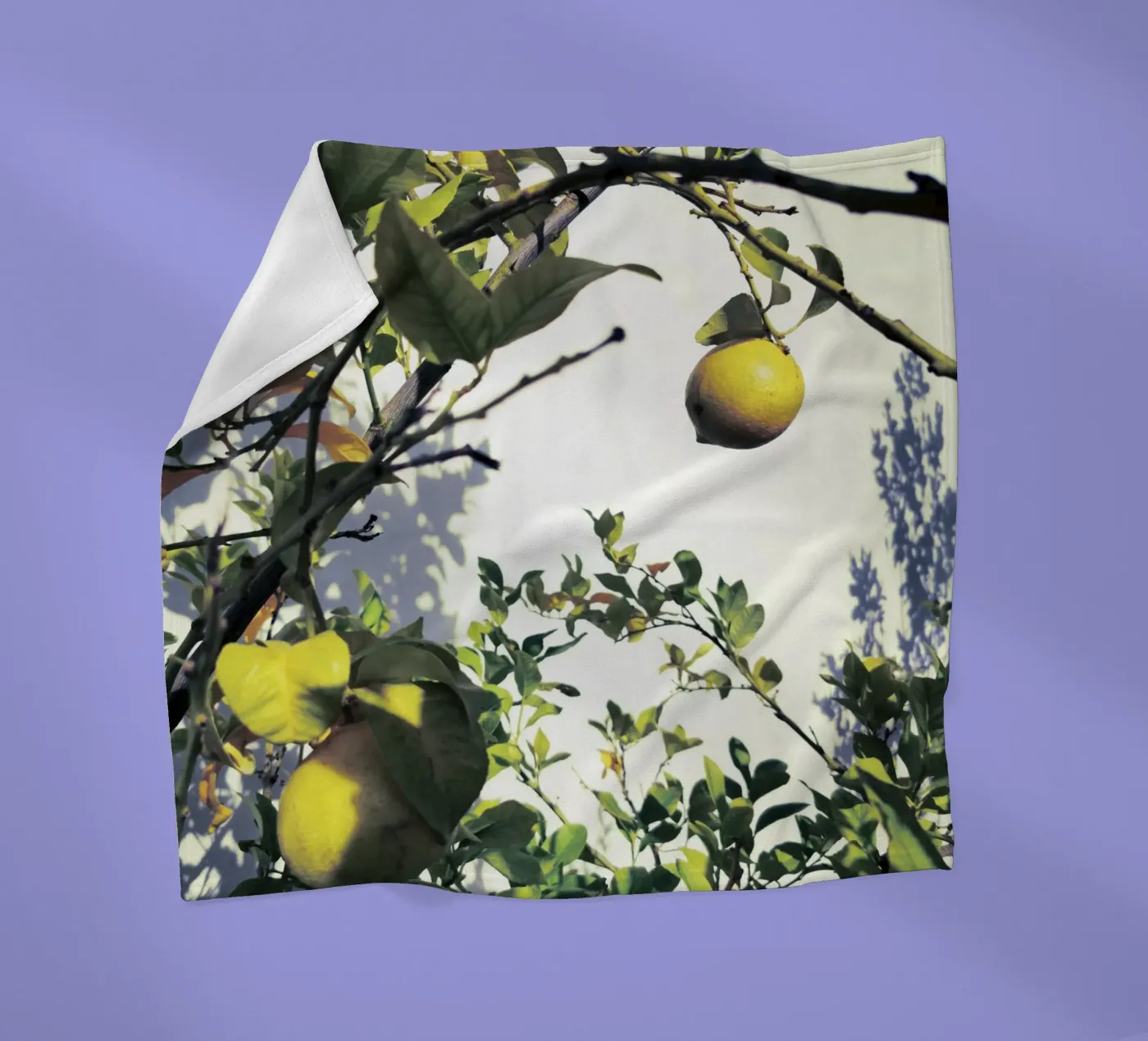Lemons Fleecedecke von Angelo Cerantola