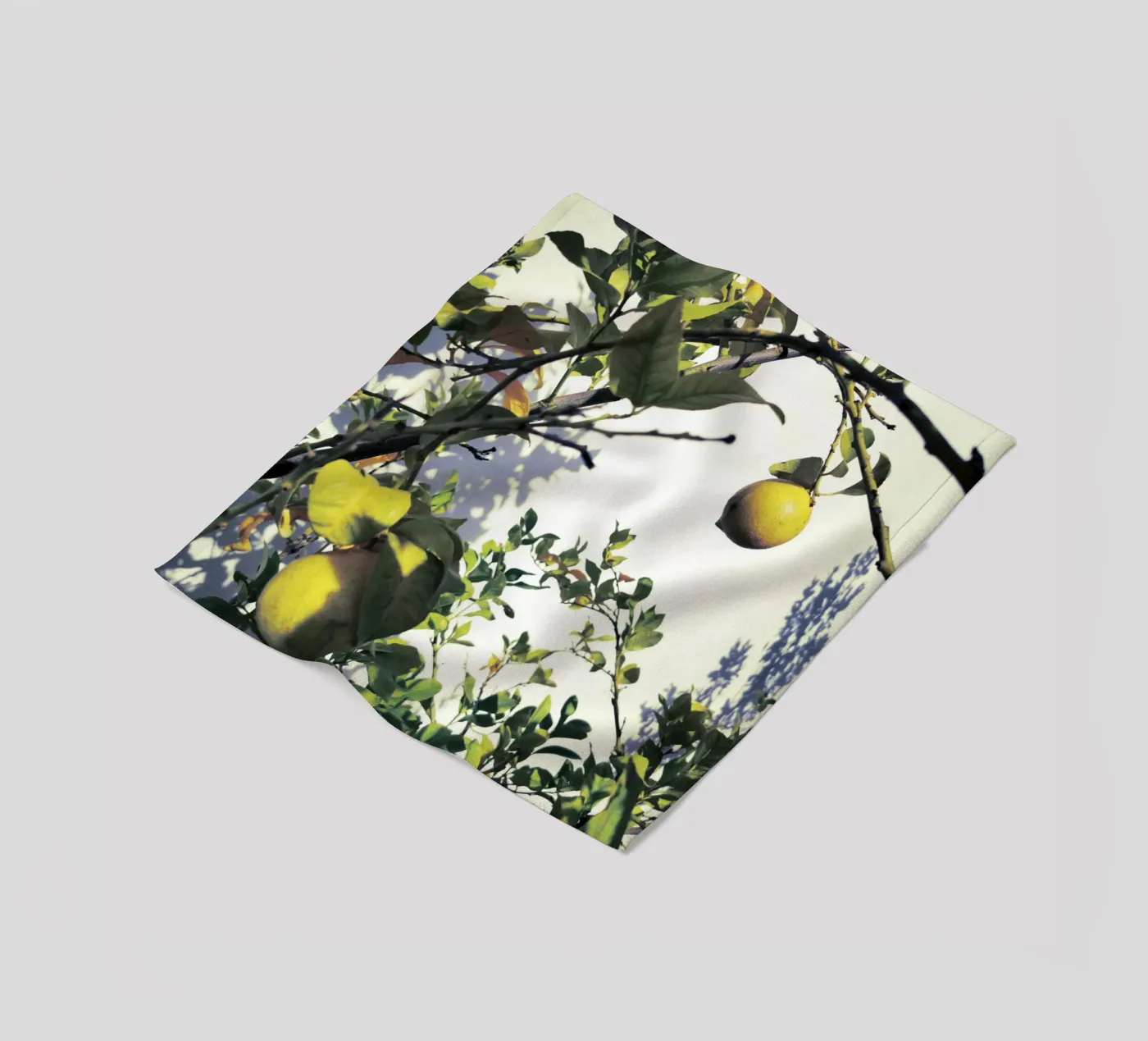 Lemons Fleecedecke von Angelo Cerantola