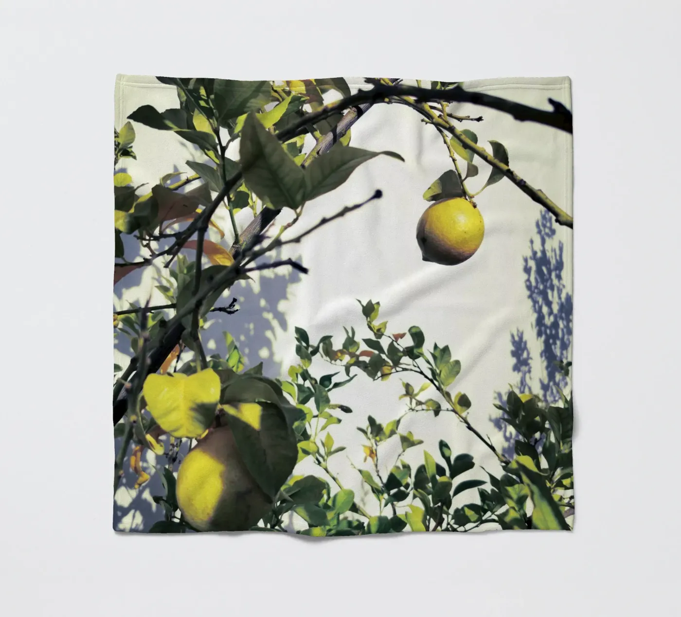 Lemons Fleecedecke von Angelo Cerantola