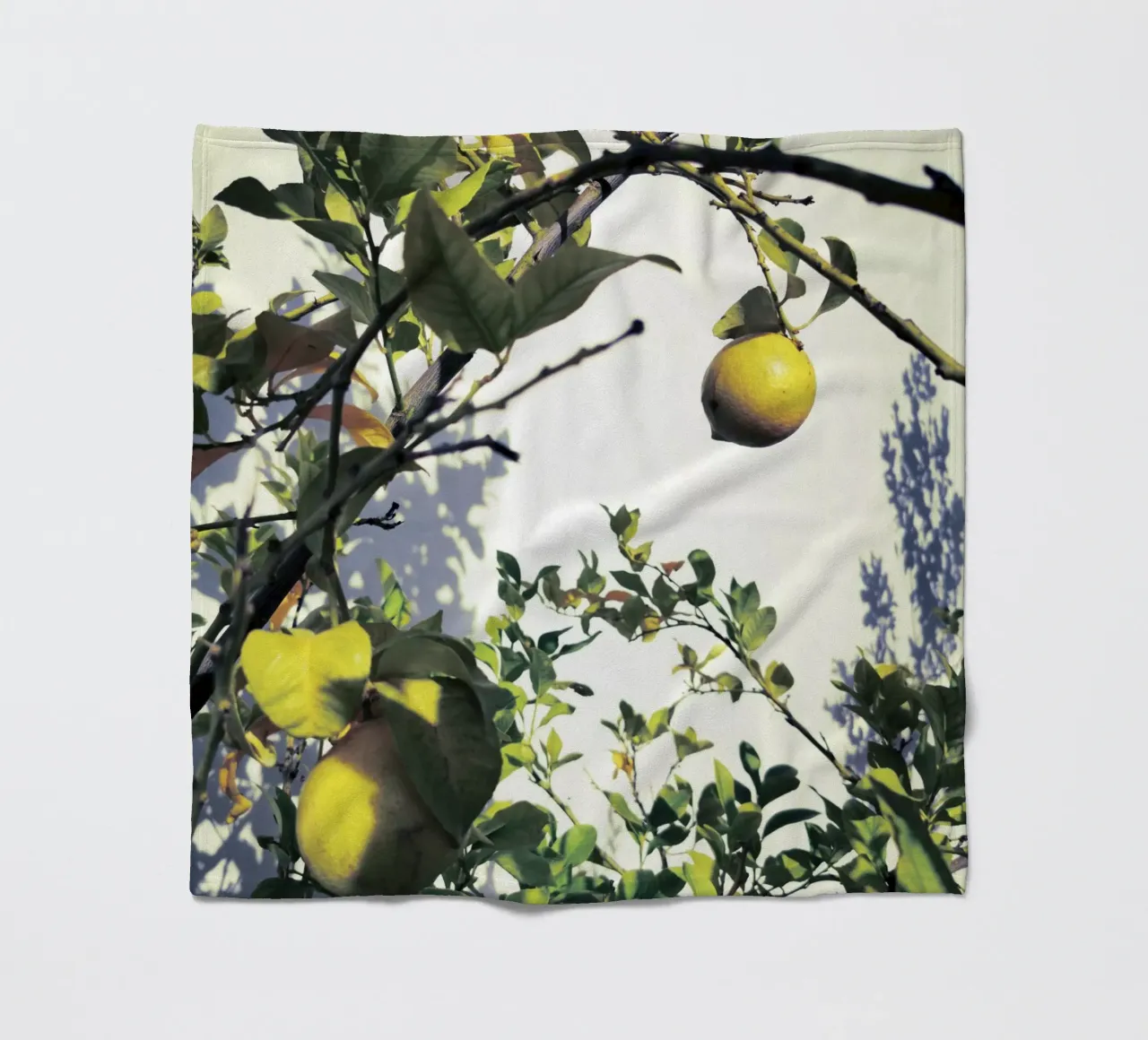 Lemons Fleecedecke von Angelo Cerantola