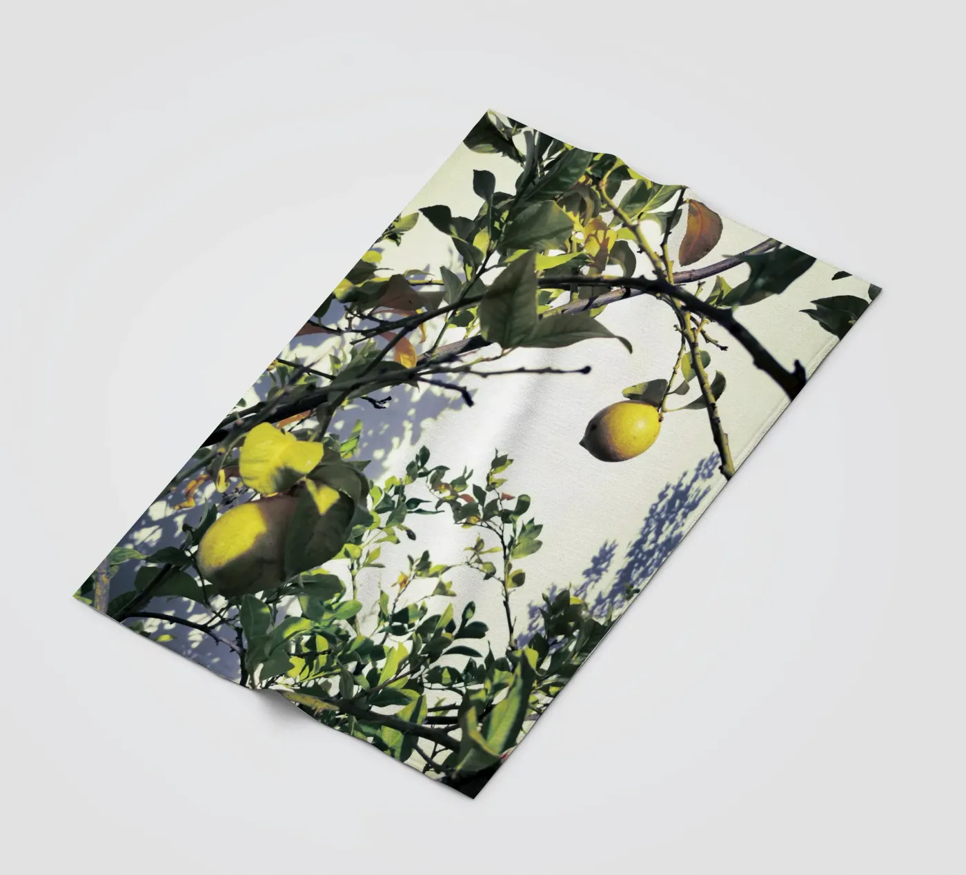 Lemons Fleecedecke von Angelo Cerantola