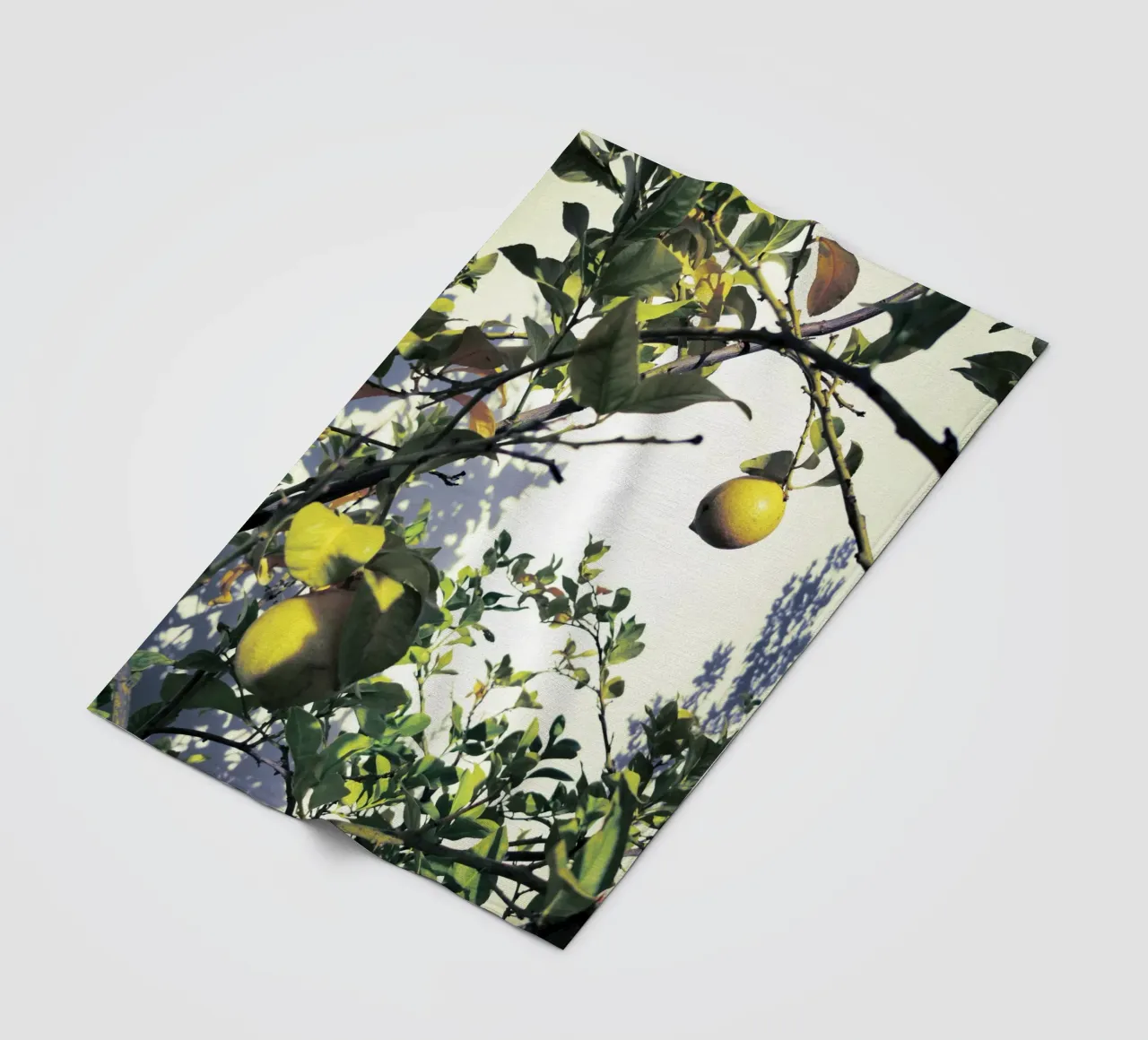 Lemons Fleecedecke von Angelo Cerantola