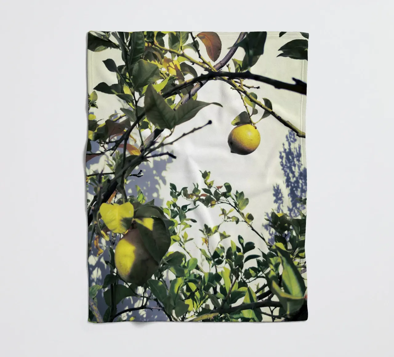 Lemons Fleecedecke von Angelo Cerantola