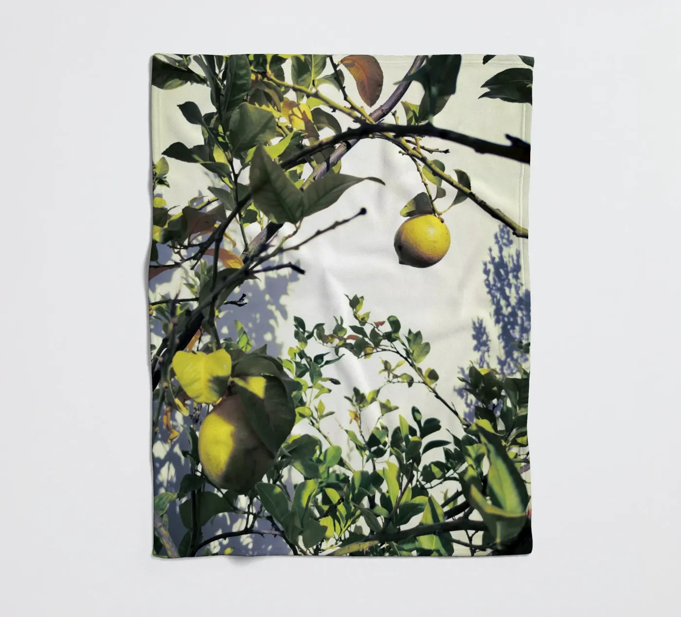 Lemons Fleecedecke von Angelo Cerantola