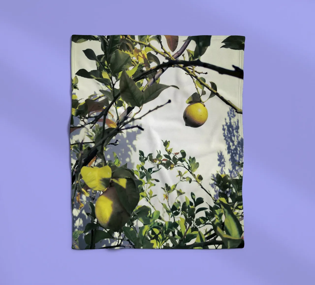 Lemons Fleecedecke von Angelo Cerantola
