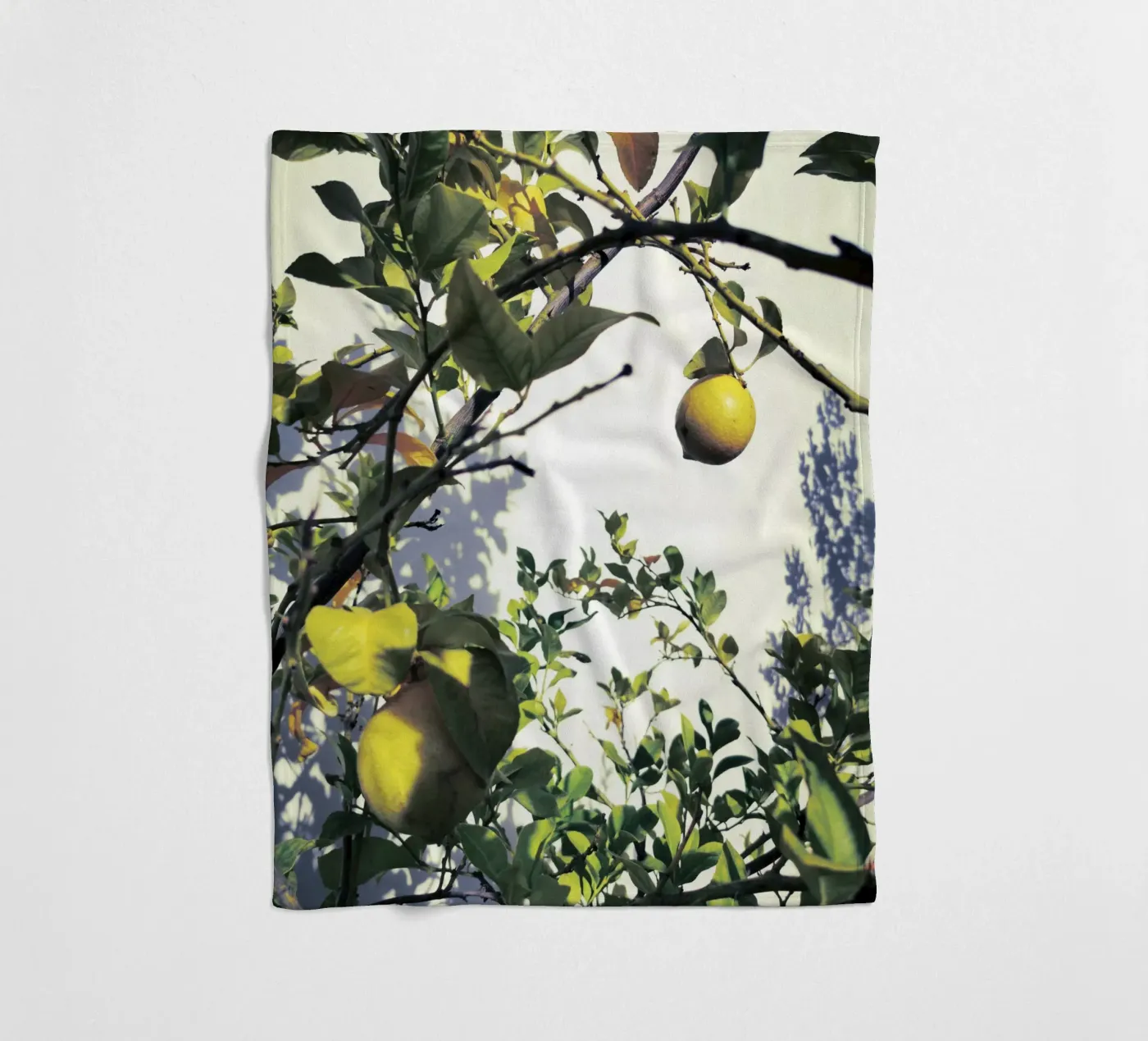 Lemons Fleecedecke von Angelo Cerantola