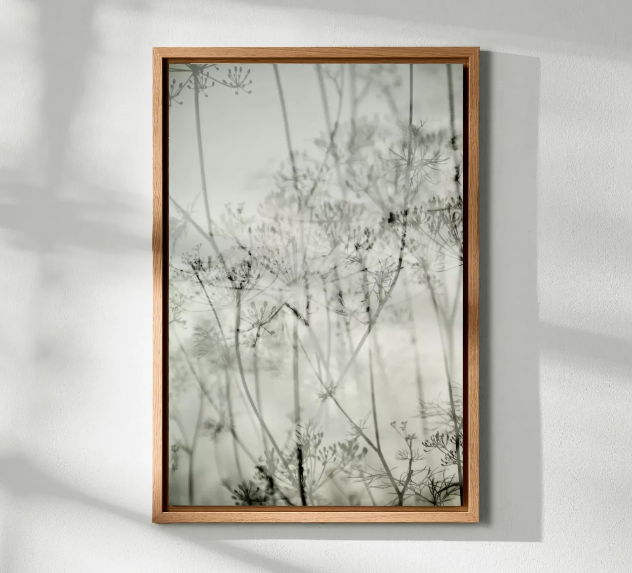 botanical abstract tela con Cornice a cassetta da Visuelle Poesie am Wegesrand