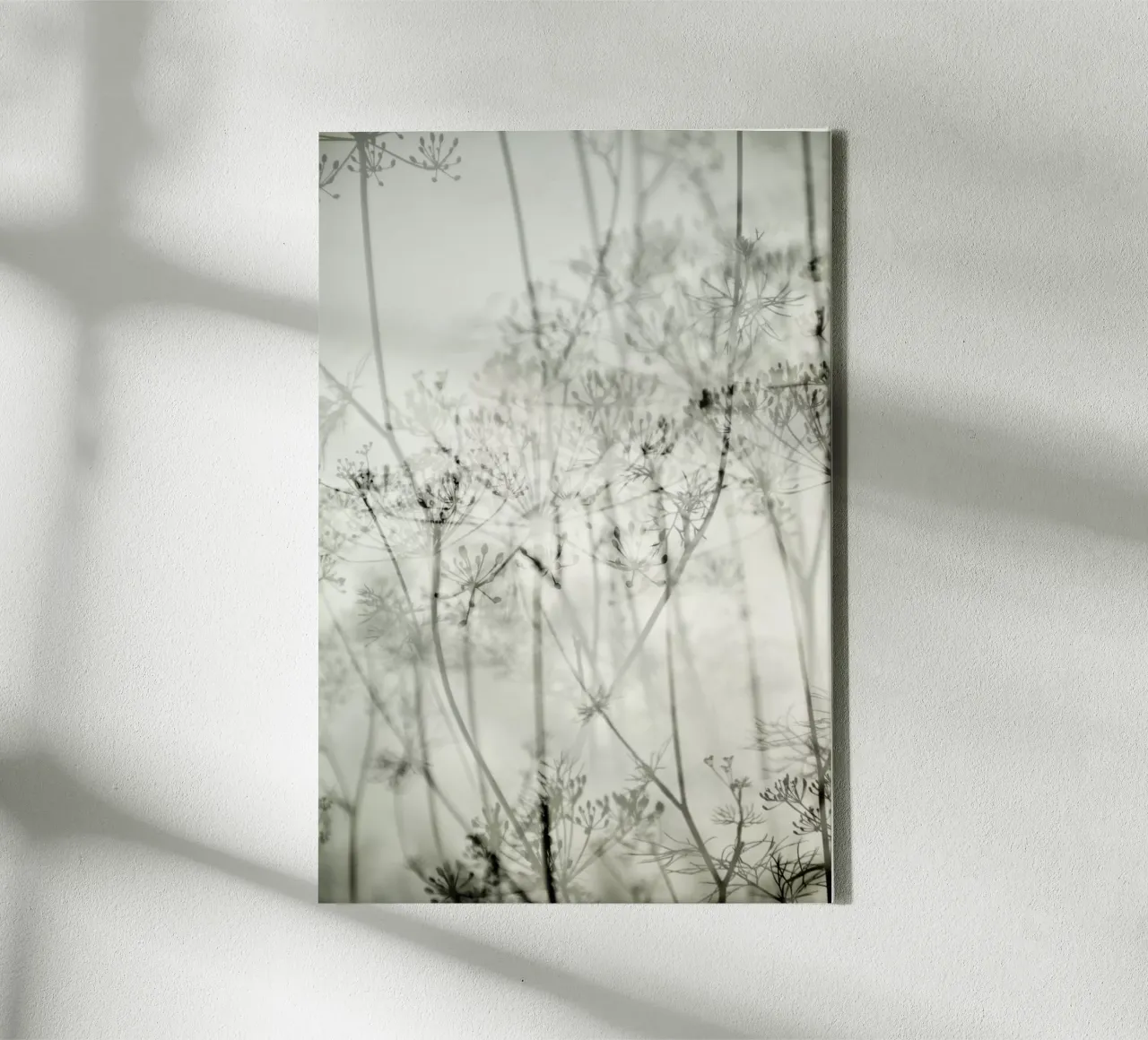 botanical abstract tela con Cornice a cassetta da Visuelle Poesie am Wegesrand