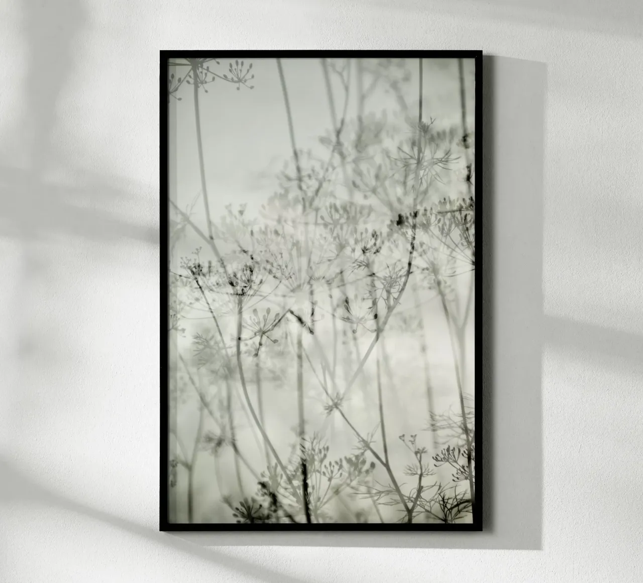 botanical abstract carta hahnemühle da Visuelle Poesie am Wegesrand