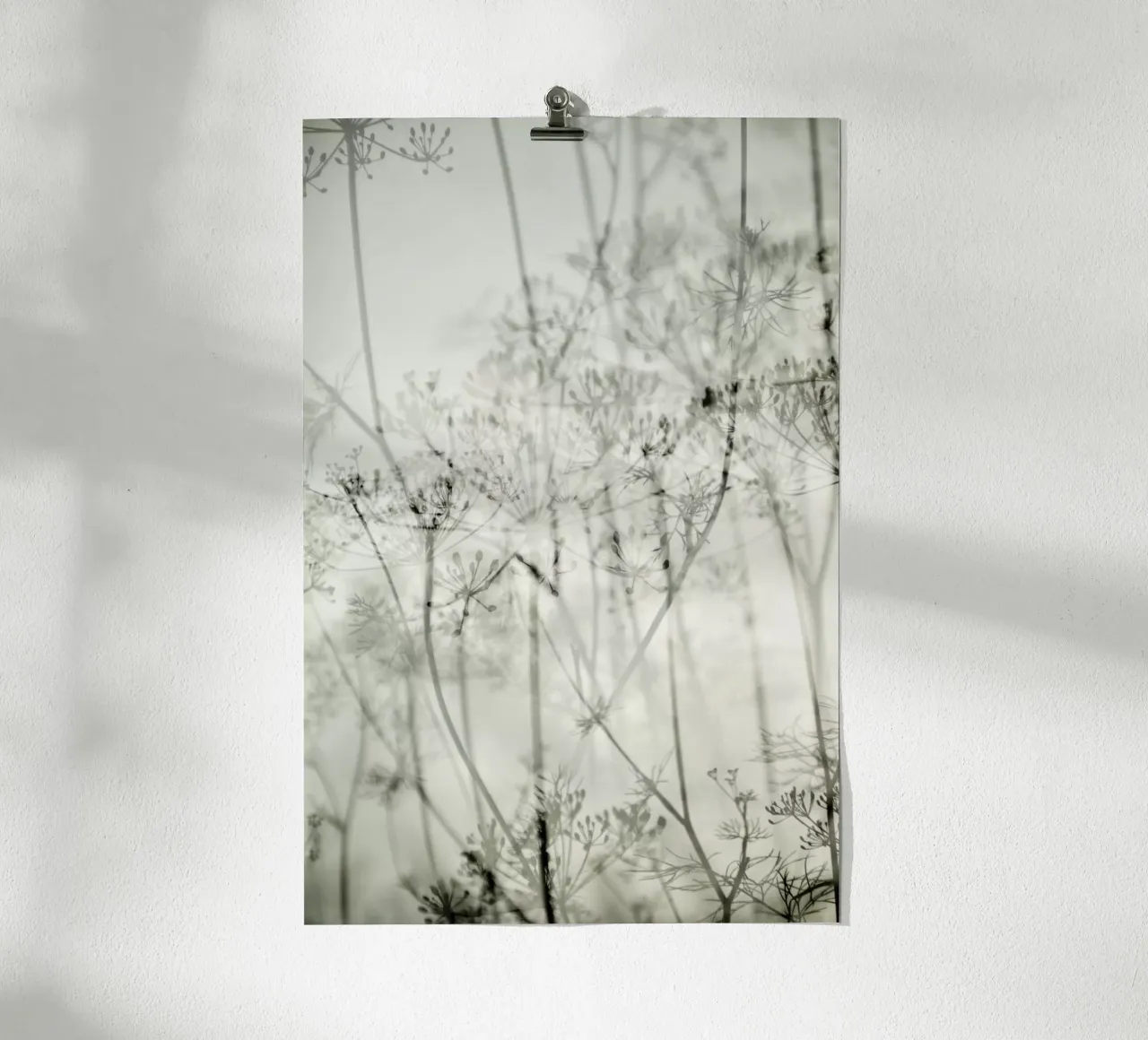 botanical abstract carta hahnemühle da Visuelle Poesie am Wegesrand