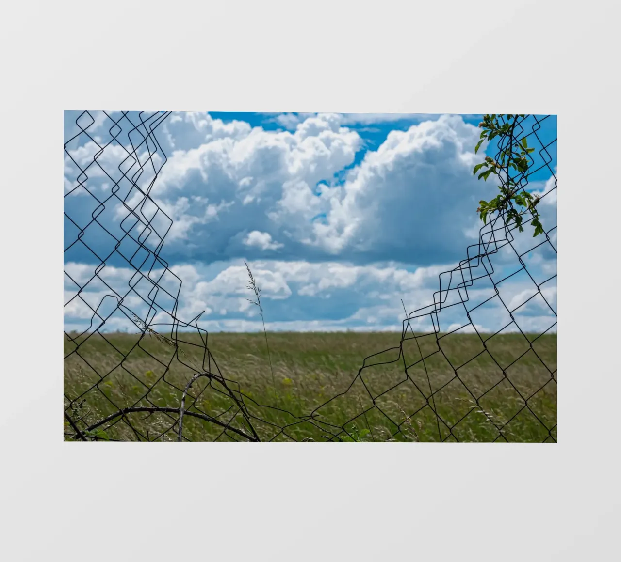 Libertà telo in pvc da anderm