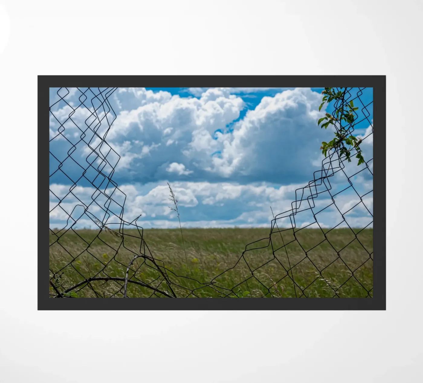 Freedom doormat by anderm