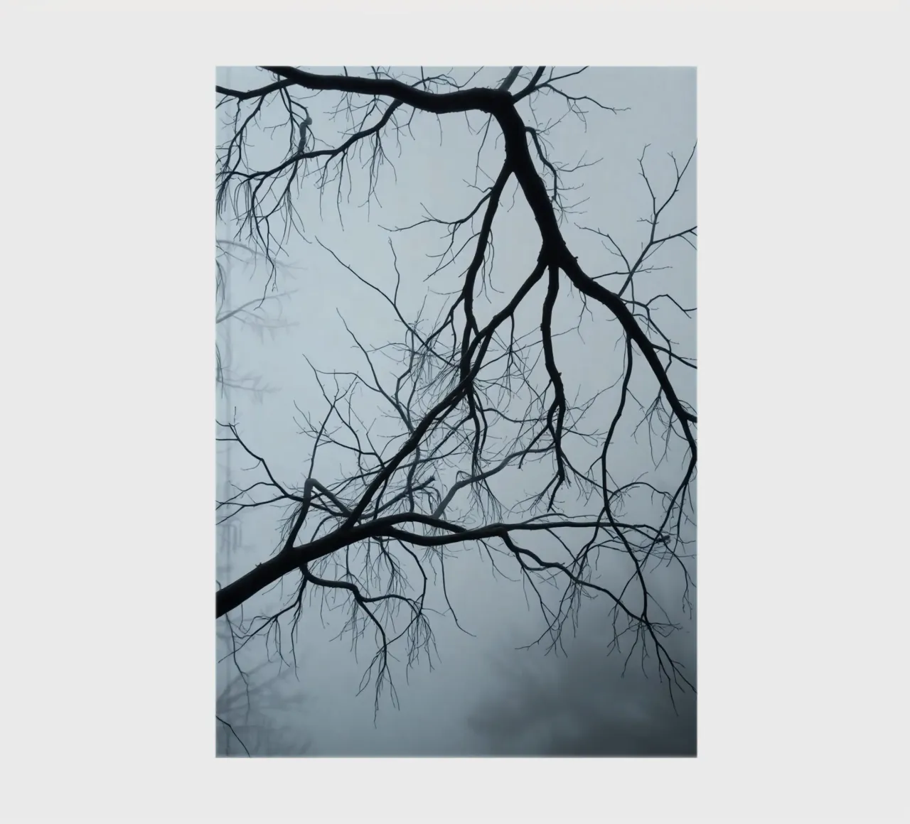 Bare Tree Branches Against Overcast Sky notebook by DesignDoodle