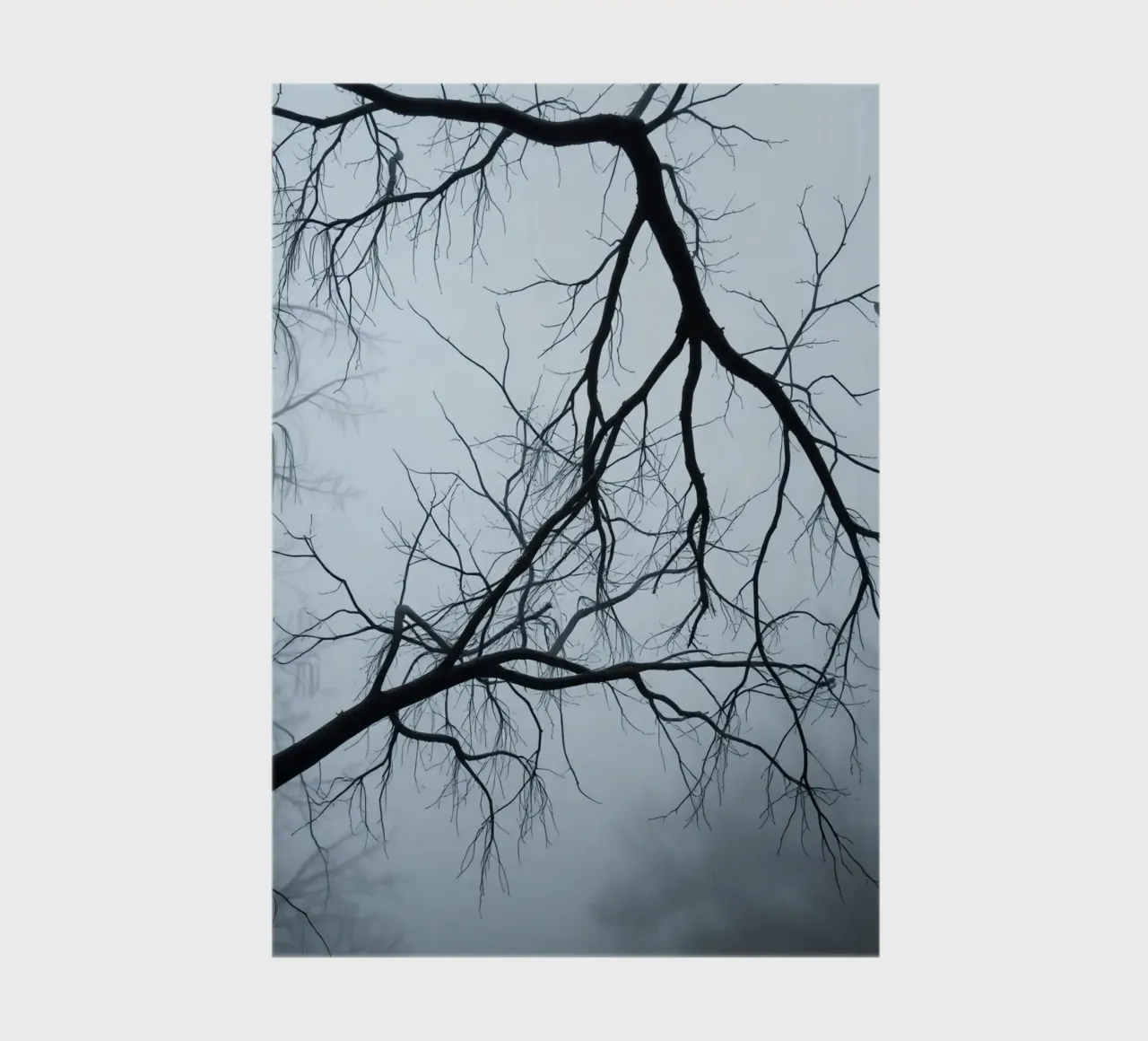 Bare Tree Branches Against Overcast Sky notebook by DesignDoodle