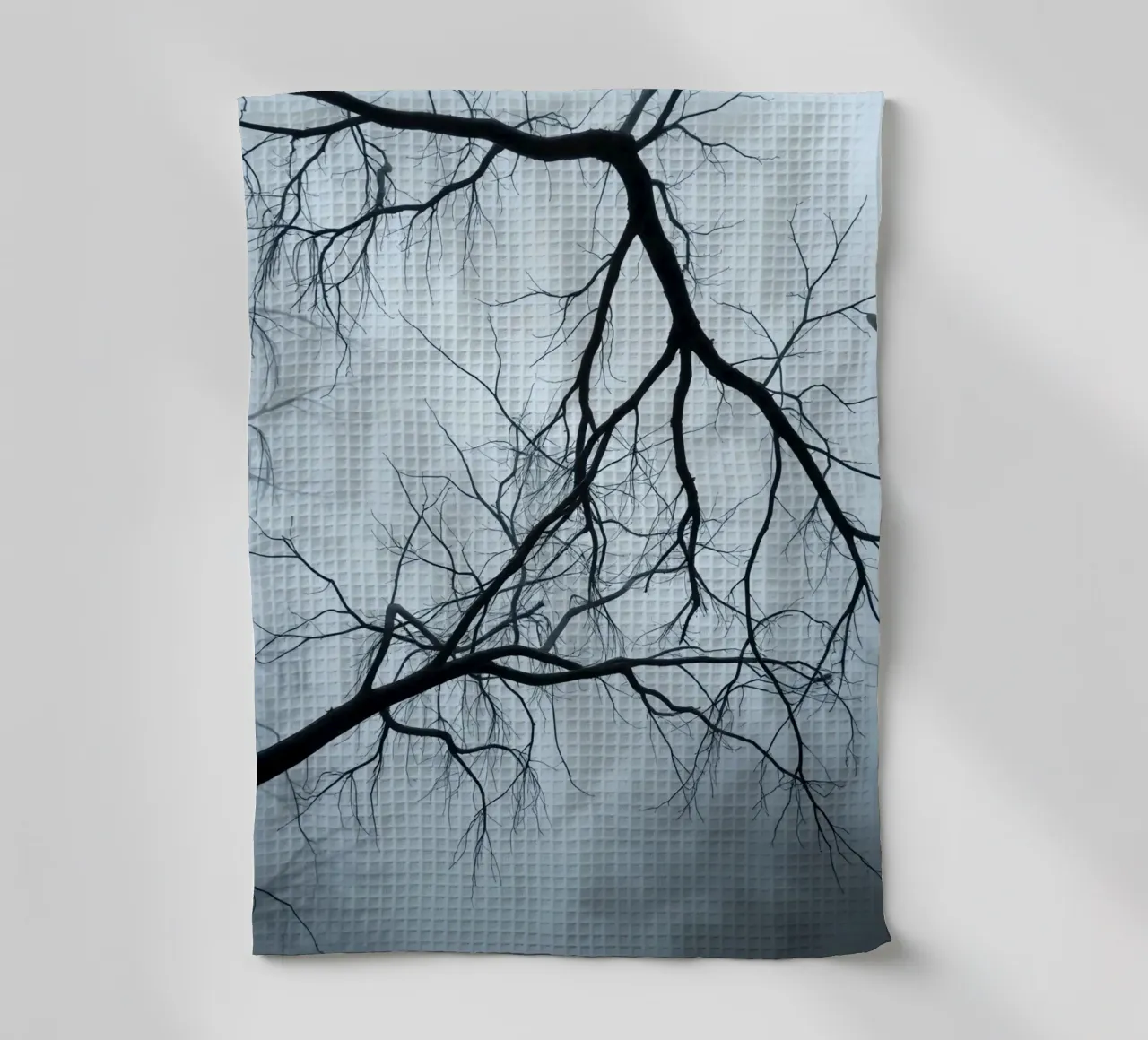 Branches d'arbres dénudées dans un ciel couvert torchon de DesignDoodle