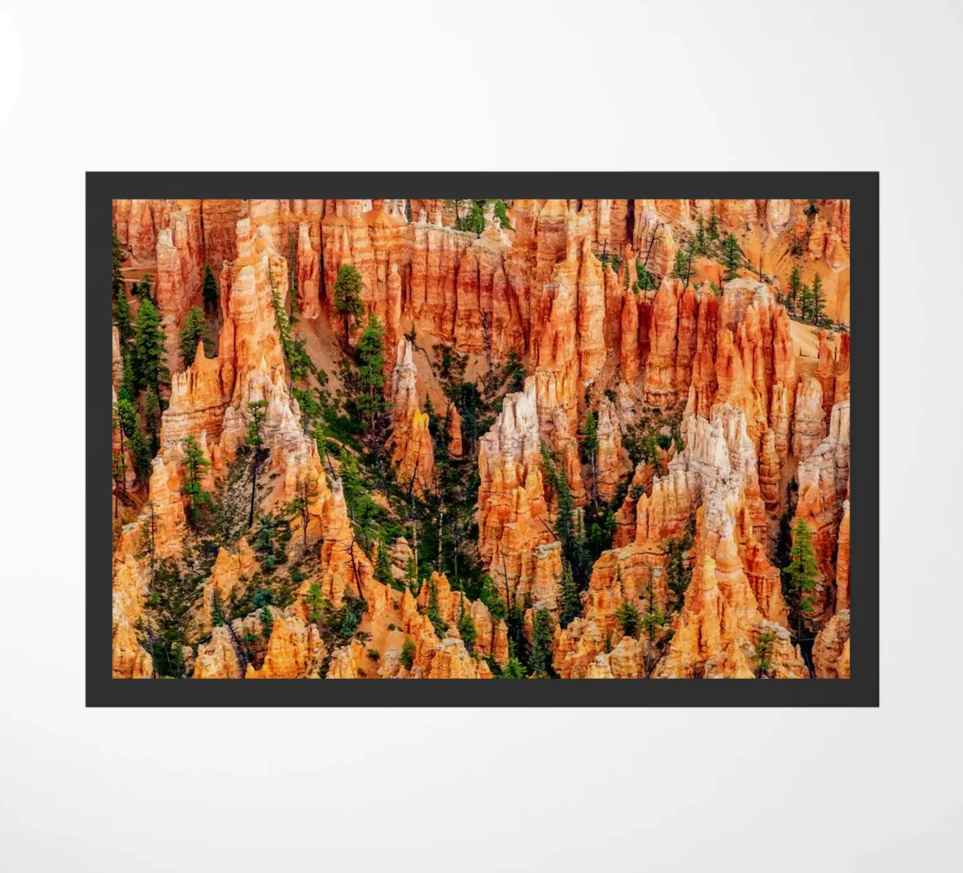 Bryce Canyon deurmat van anderm