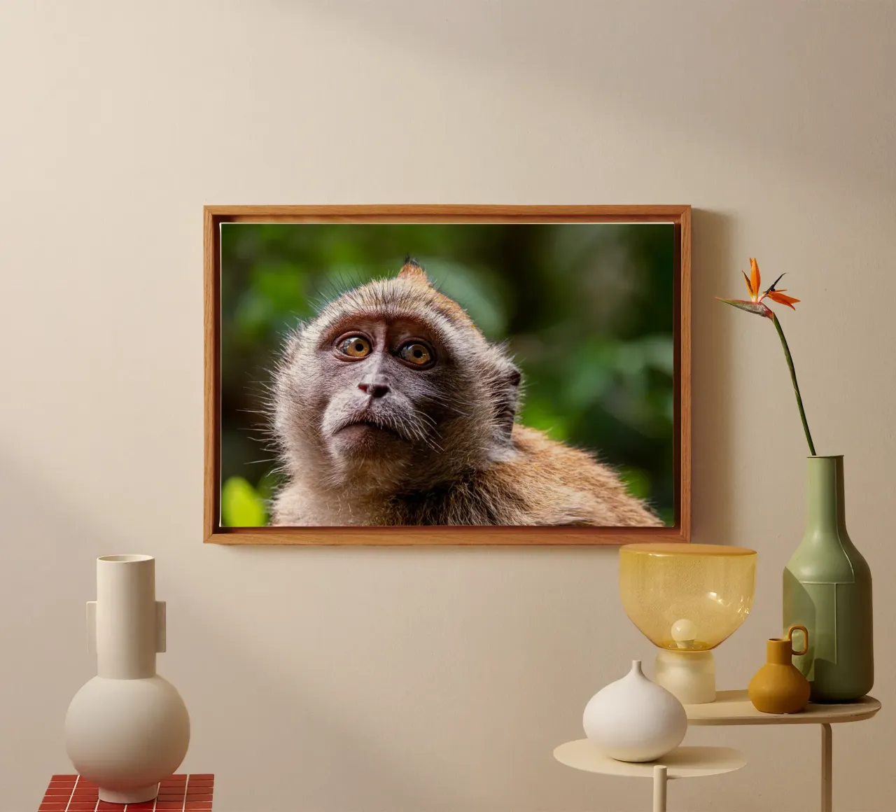 Face of a monkey canvas with Floater frame by anderm