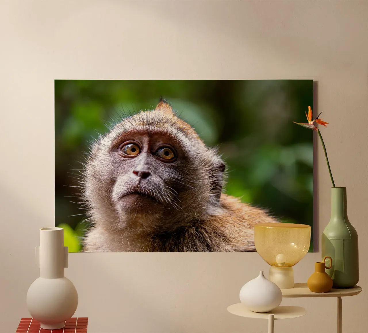 Face of a monkey canvas with Floater frame by anderm