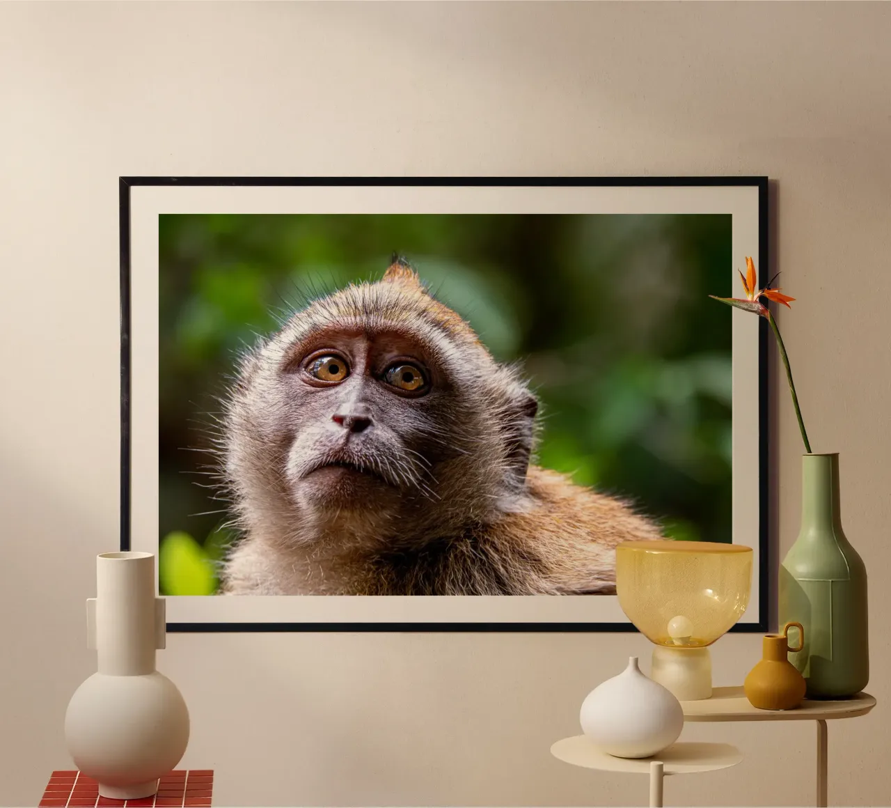 Face of a monkey poster by anderm
