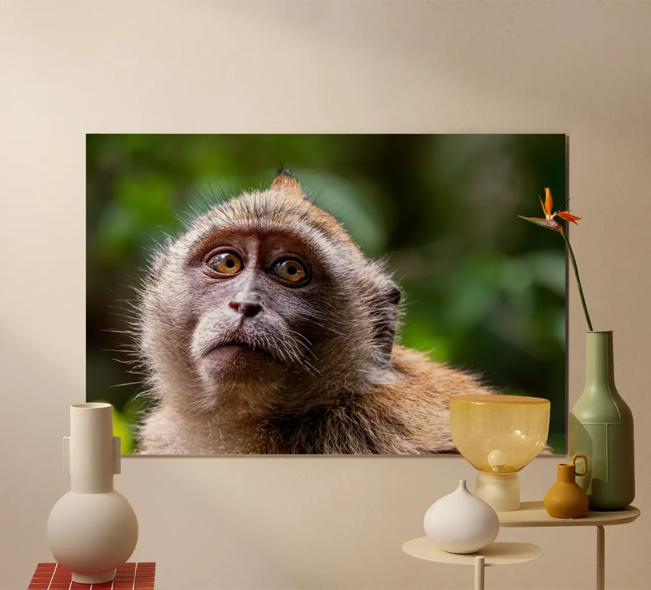 Face of a monkey poster by anderm