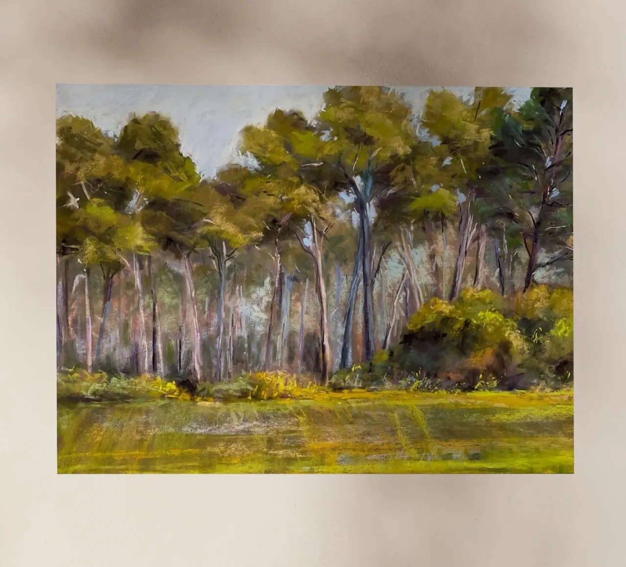 alberi della foresta pellicola backlit da Karl Martin